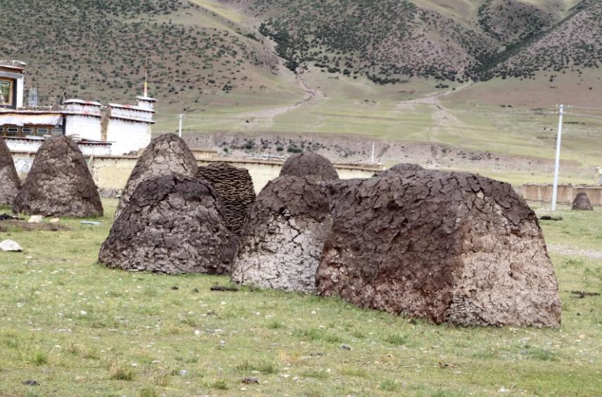 正宗的风干牦牛肉是什么样子,几十块一斤的风干牦牛肉