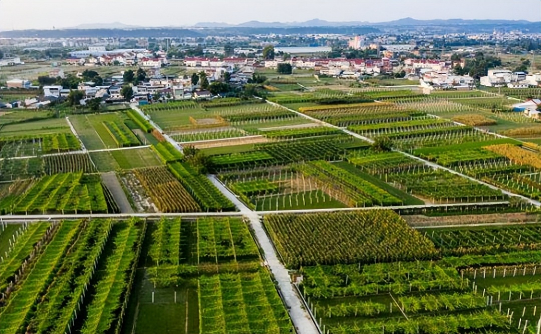 农业产业周报|盒马鲜生、优然牧业、北大荒、锅圈汇最新动态