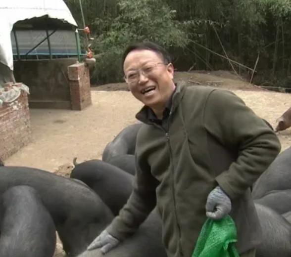 农业记者辞职养猪，做出特色橡果猪肉，一斤卖出40元