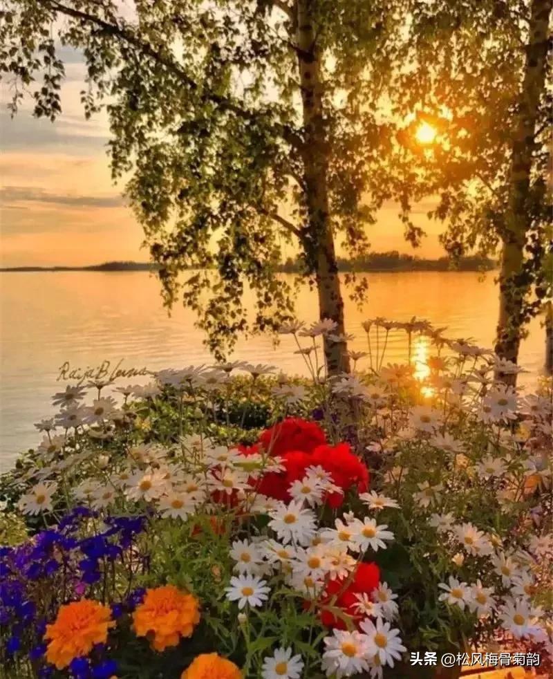地上的花开万紫千红,心中有花香人生四季皆风景