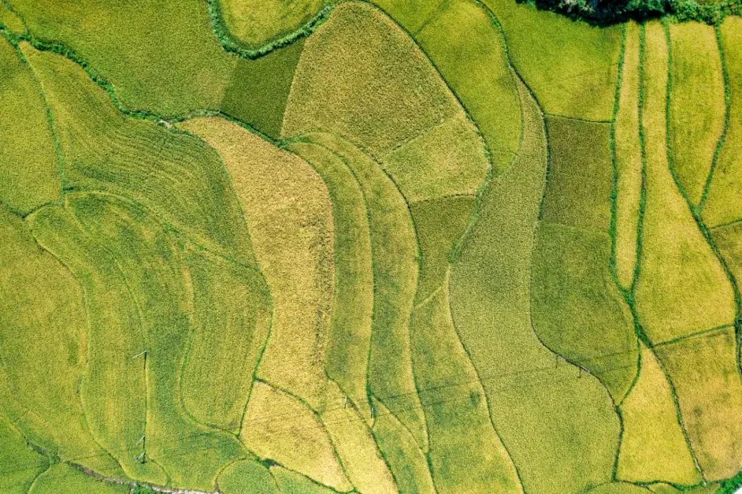 信阳十大旅游乡村,信阳周边乡村旅游景点推荐