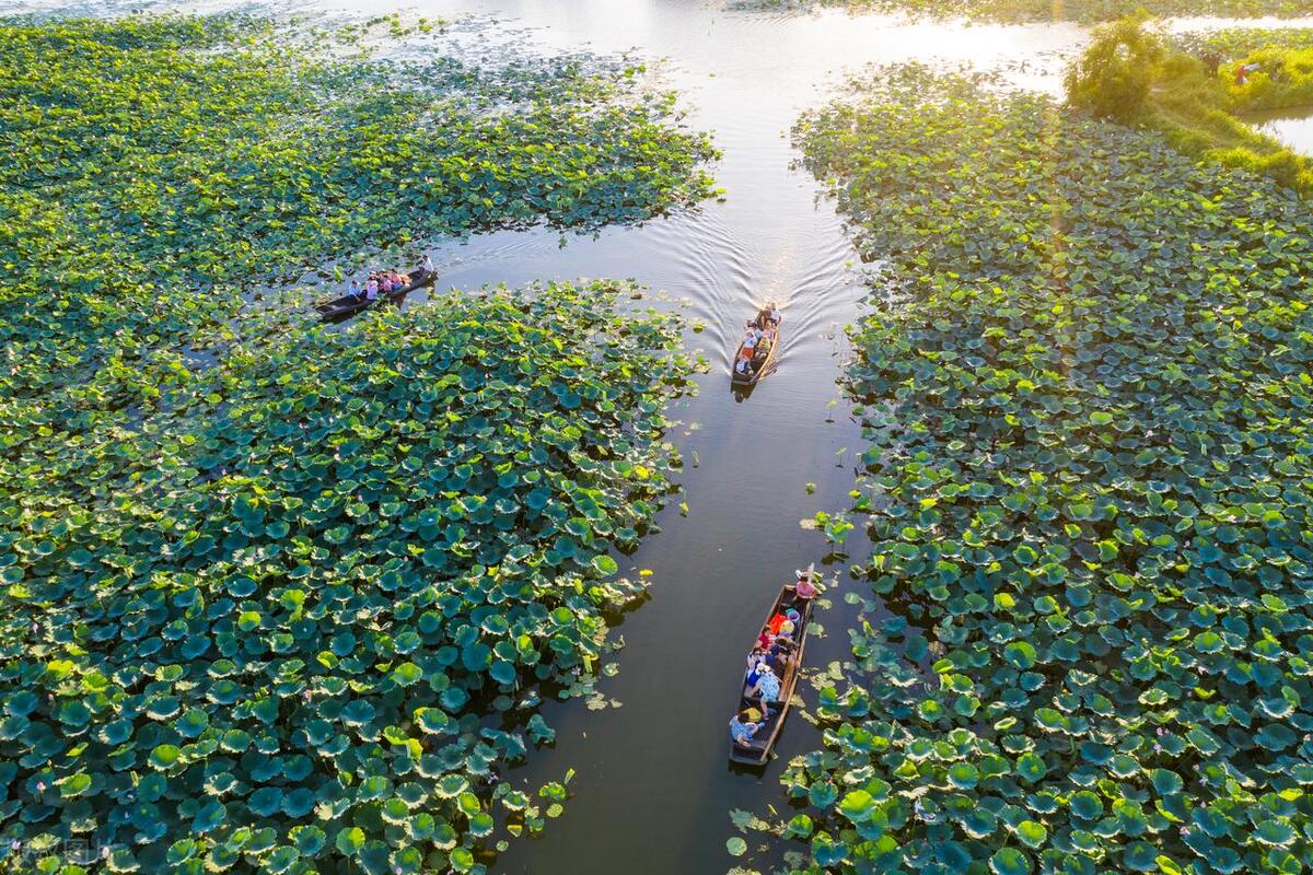 从广州佛山出发的旅游攻略,广州鹤山市旅游