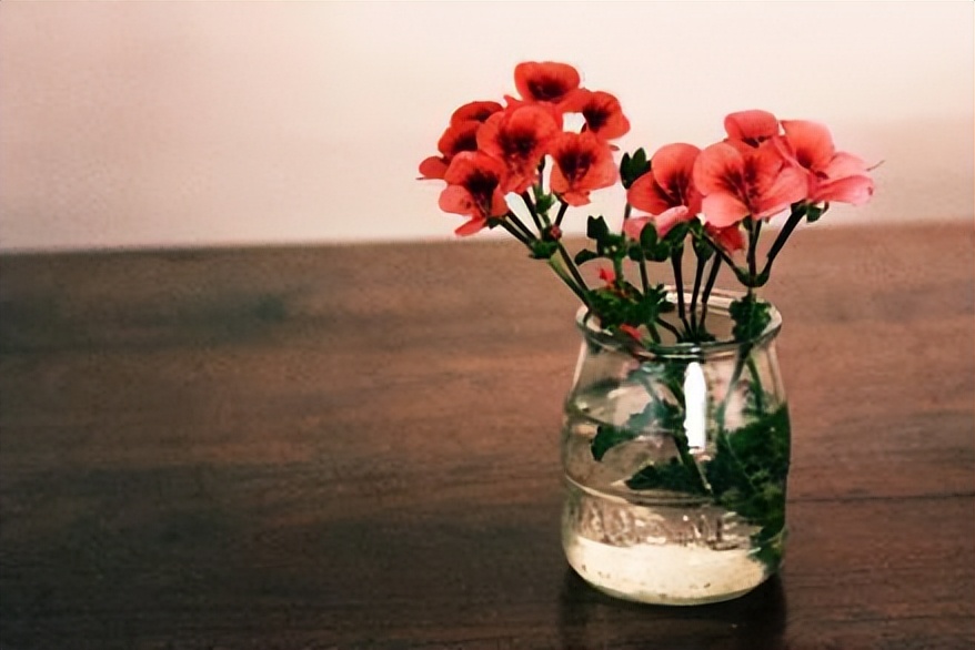 不要对男人太好就算你真的很爱他,不要对男人太好算你真的很爱他吗