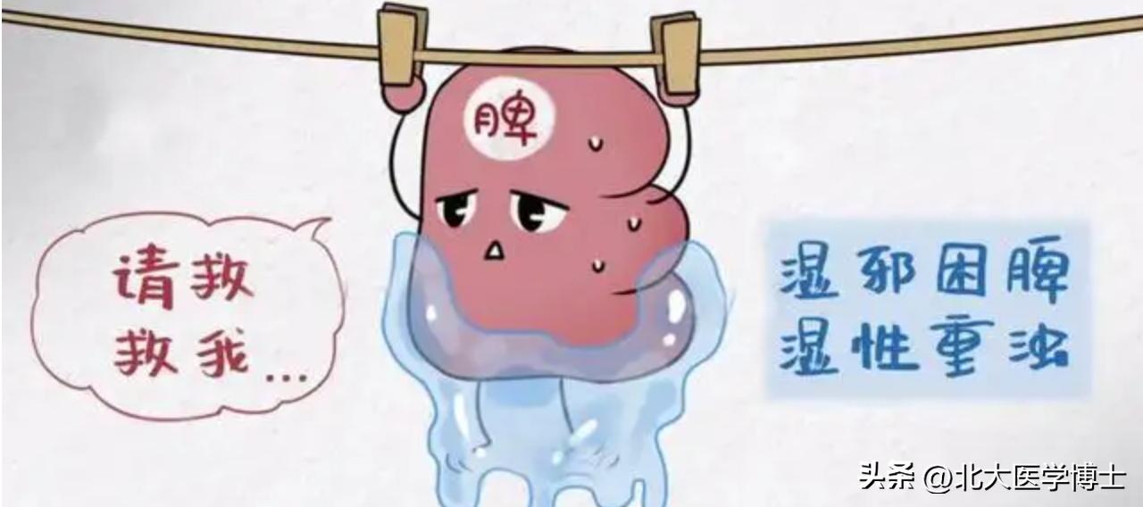 尿酸高湿气重如何调理,尿酸高湿气重如何饮食