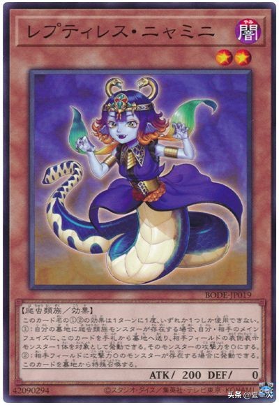 游戏王同调士卡组——黑、红莲蔷薇,救世星龙,帝企,尼亚米尼