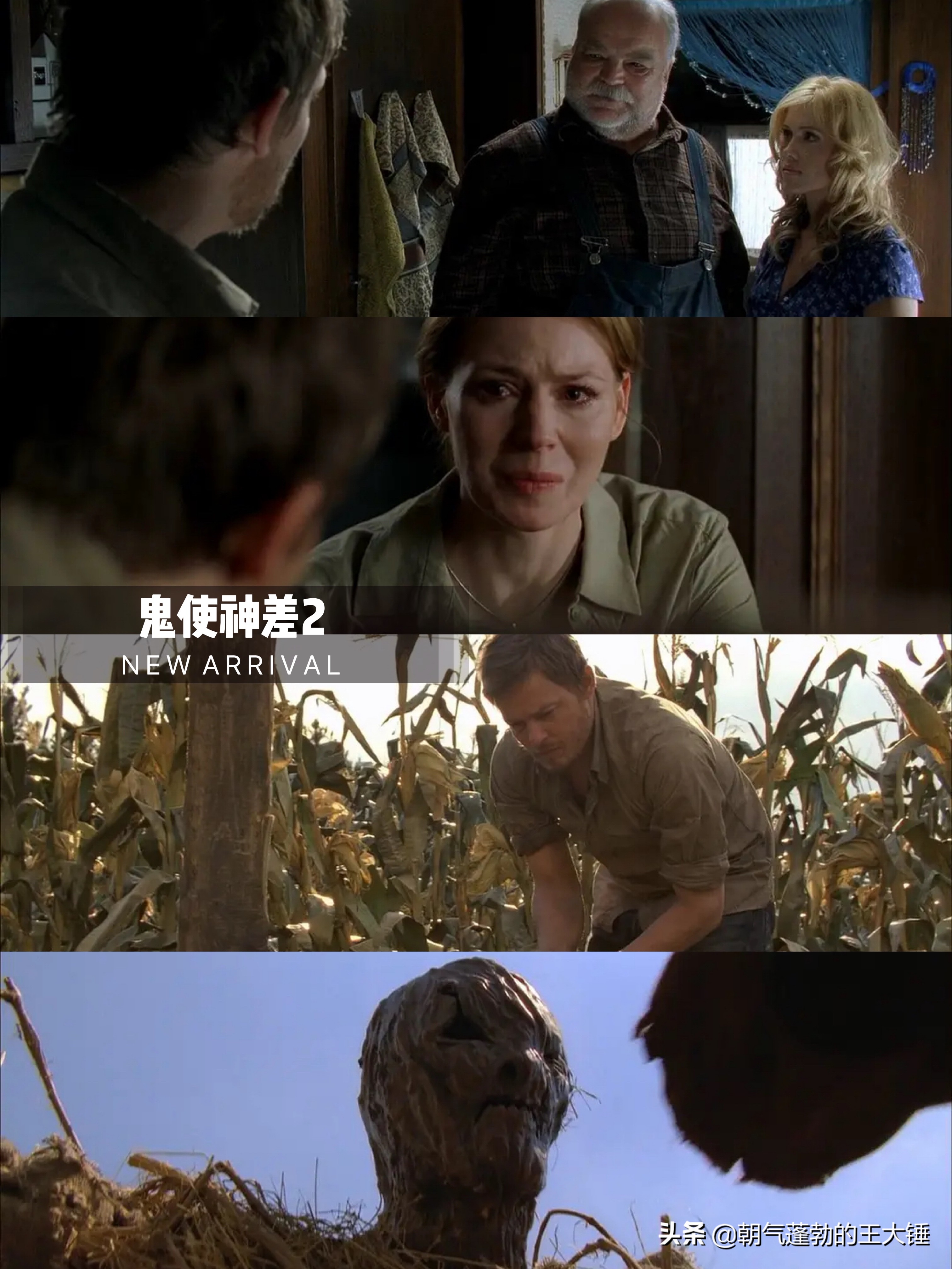 2021年度惊悚恐怖电影推荐,2021年惊悚电影排行榜前十名