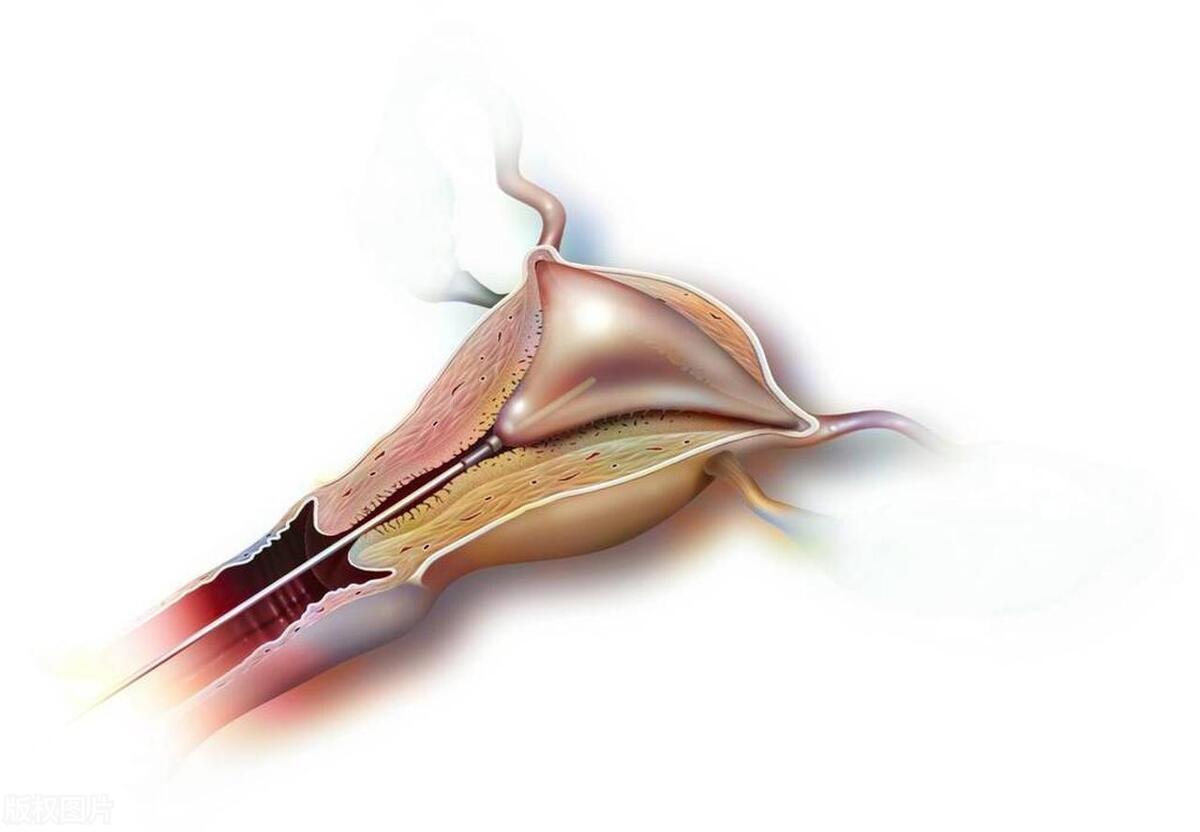 关于女生的小秘密你知道多少,关于女孩子的秘密