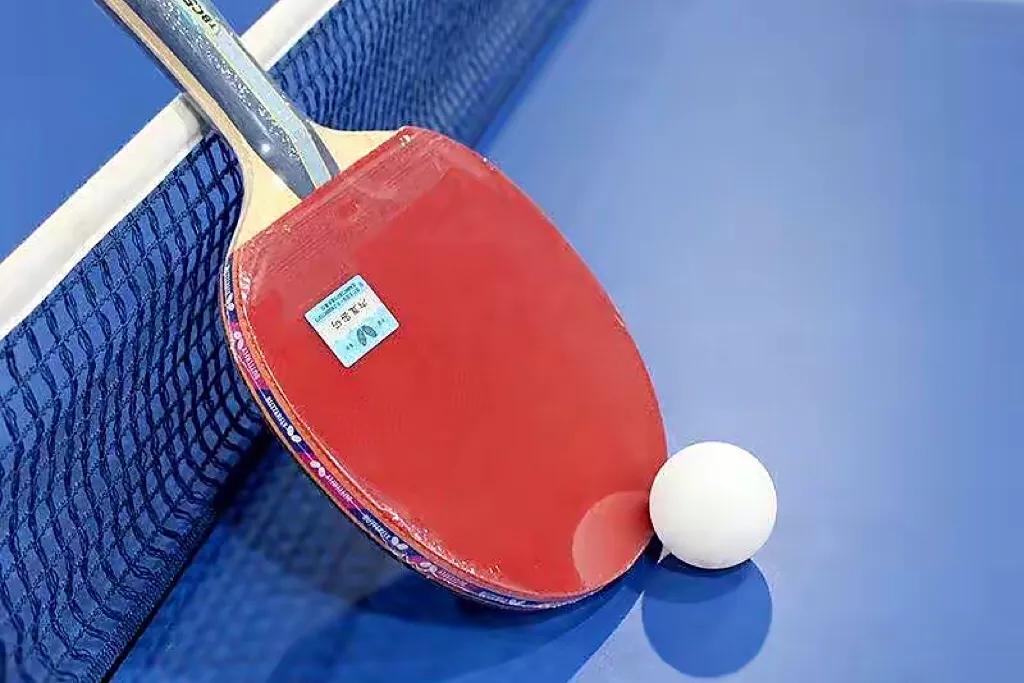 小小乒乓球儿歌,小小乒乓球运动员