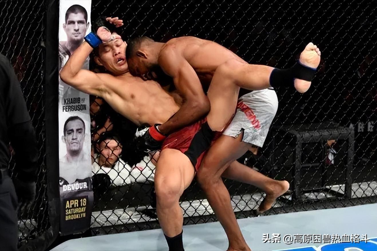 李景亮ufc打一龙,李景亮ufc270