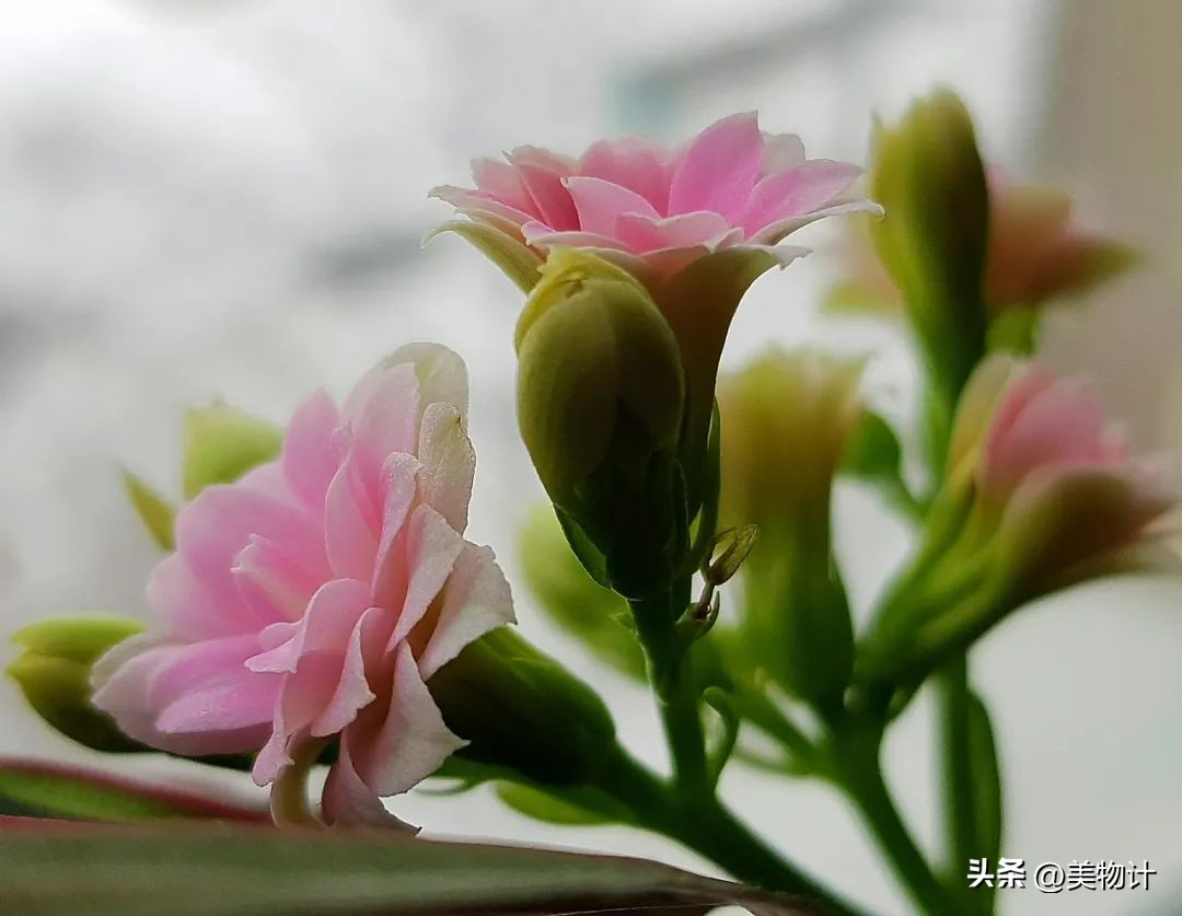 值得深交的一定是善良真诚的人,相处靠真心深交靠真诚