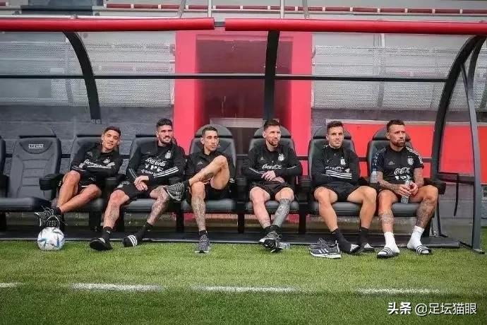 阿根廷队为什么叫潘帕斯雄鹰,阿根廷评价潘帕斯雄鹰