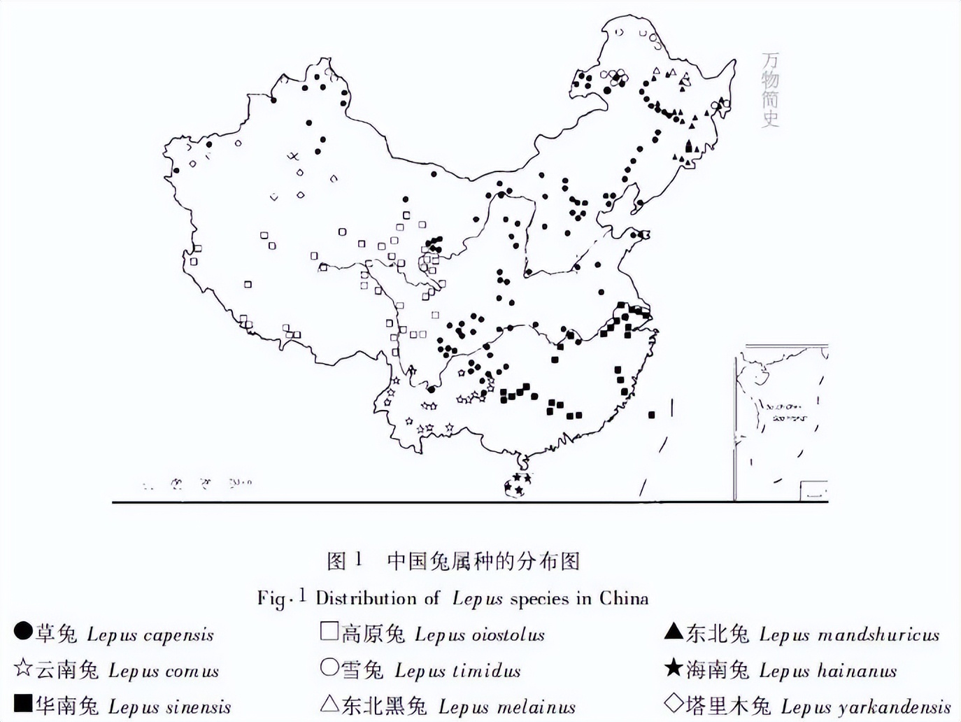 那年那兔那些年的故事,那年那兔那些事儿百年风云