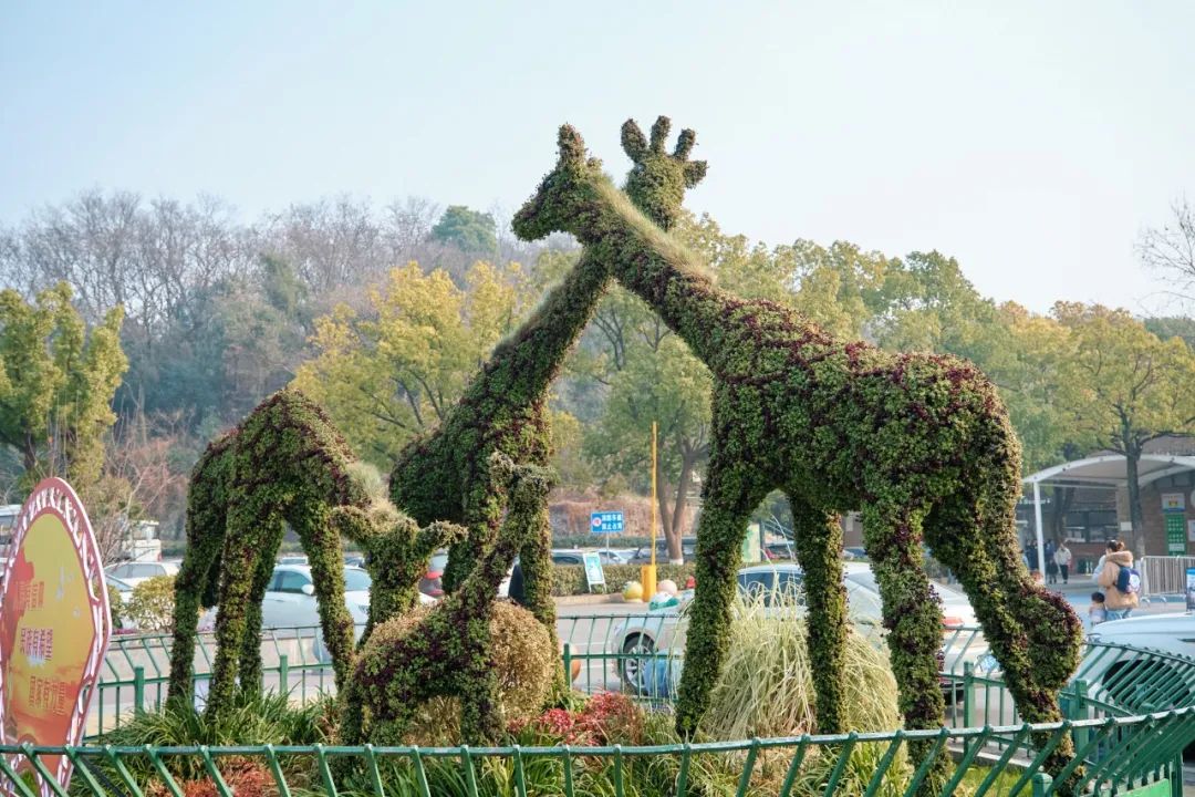 红山动物园亏损3千万网友很着急,近两年疫情原因导致亏损如何翻身