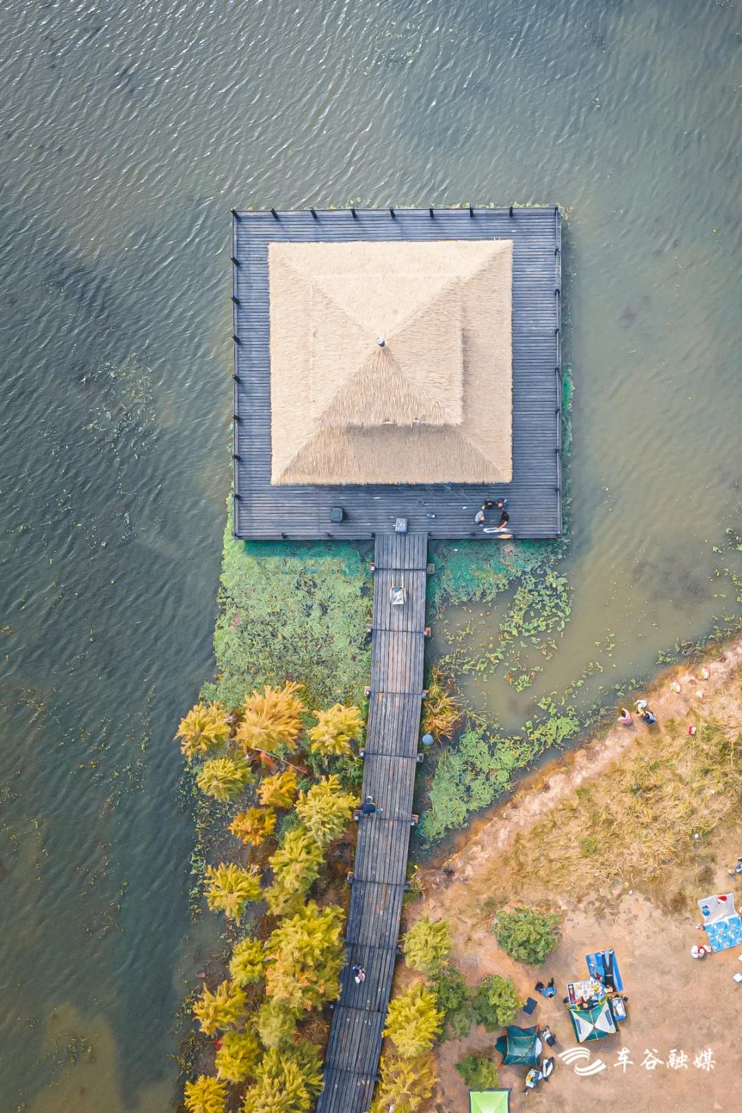 秋日暖阳骑行绿道,骑车绕城绿道值得打卡的推荐