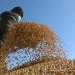 欧盟允许转基因大豆进口吗,美国进口的是转基因大豆吗