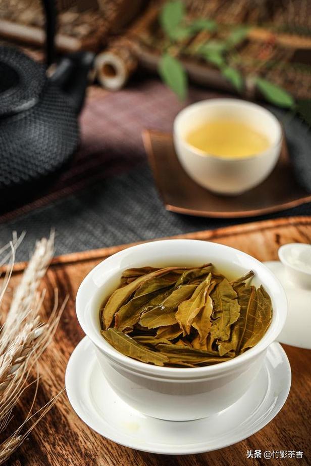 普洱茶名山名寨大盘点,普洱茶名山名寨味道是不是差不多