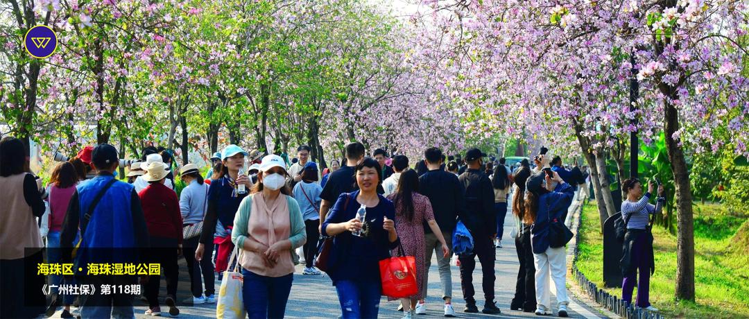 在广州社保转回老家需要什么手续,广州社保和广东省社保有什么区别