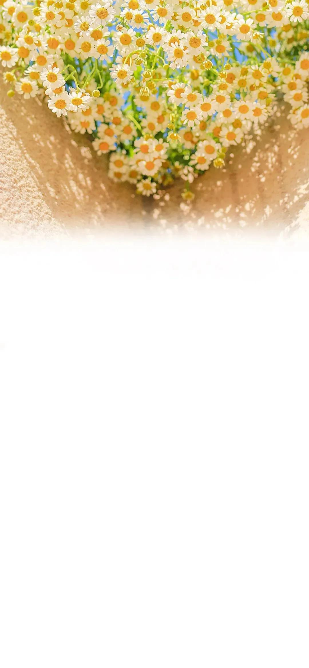 渐变晕染聊天背景图,渐变式聊天背景图