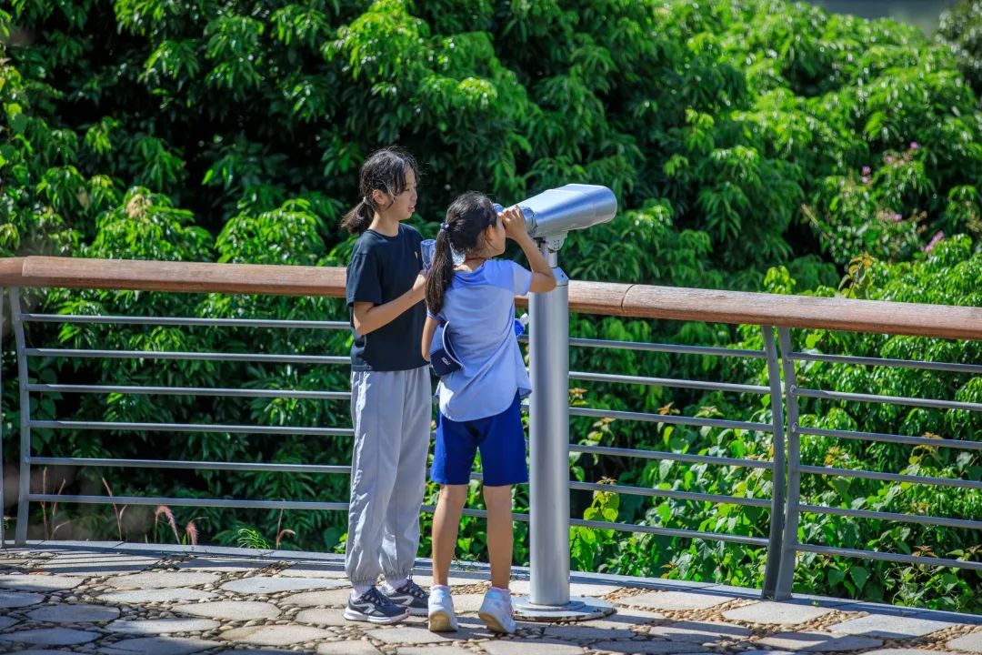 深圳淘金山绿道公园攻略,深圳淘金山绿道风景视频