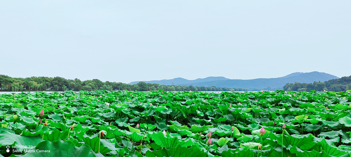 荣耀70评测：颜值才华兼备，旗舰IMX800要你好看，五星好“屏”