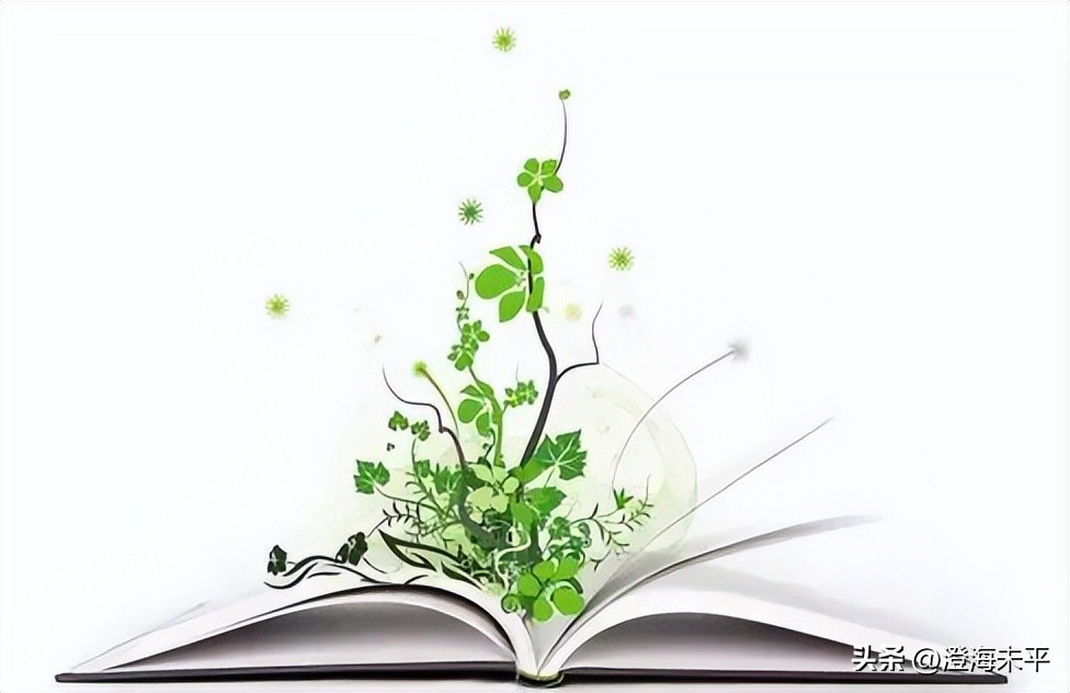 气泡鱼吃什么,气泡鱼的图片