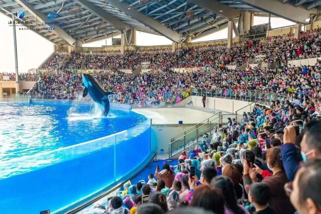 上海海昌海洋公园小孩入园凭证,上海海昌海洋公园超级儿童月