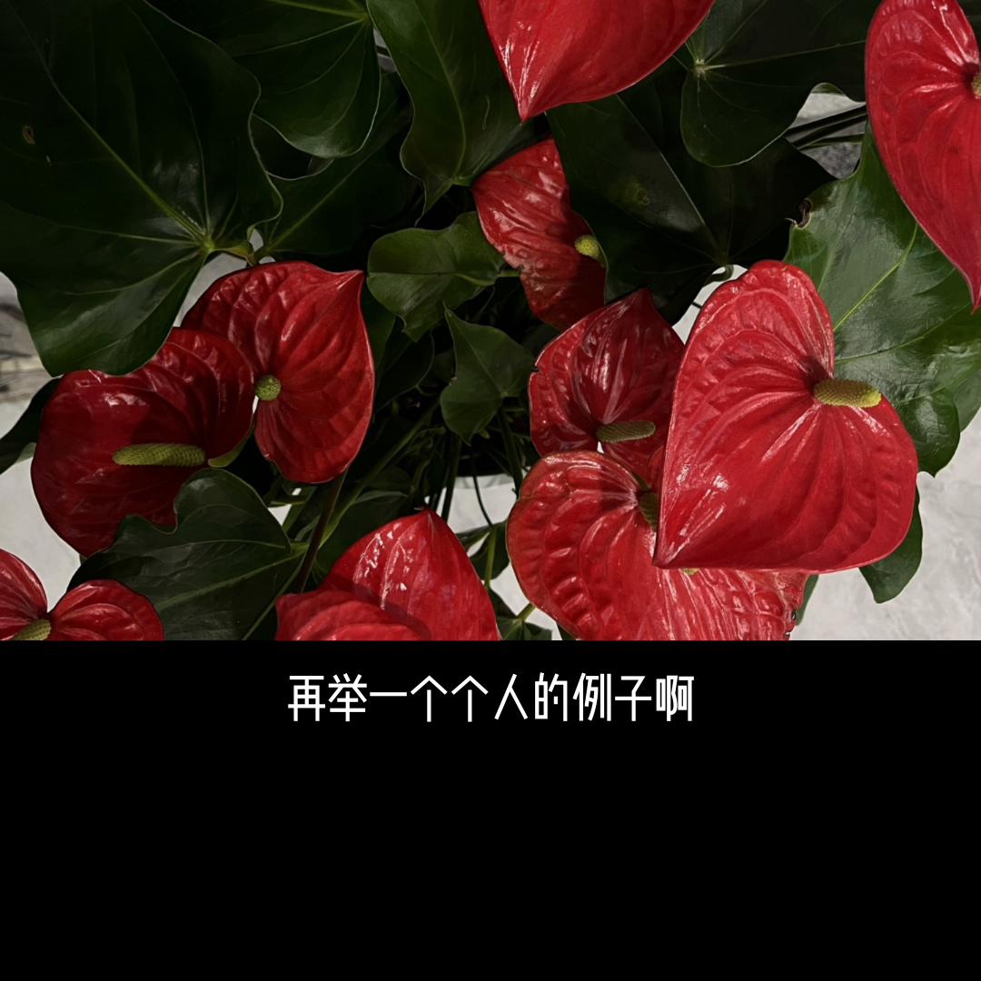 80后（不限于这代人）。出路在哪里？其实保持纵横的动态...