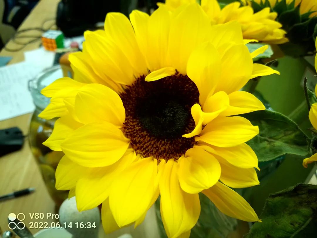 不到2000块钱的手机,不到2千块钱能买到什么样的手机