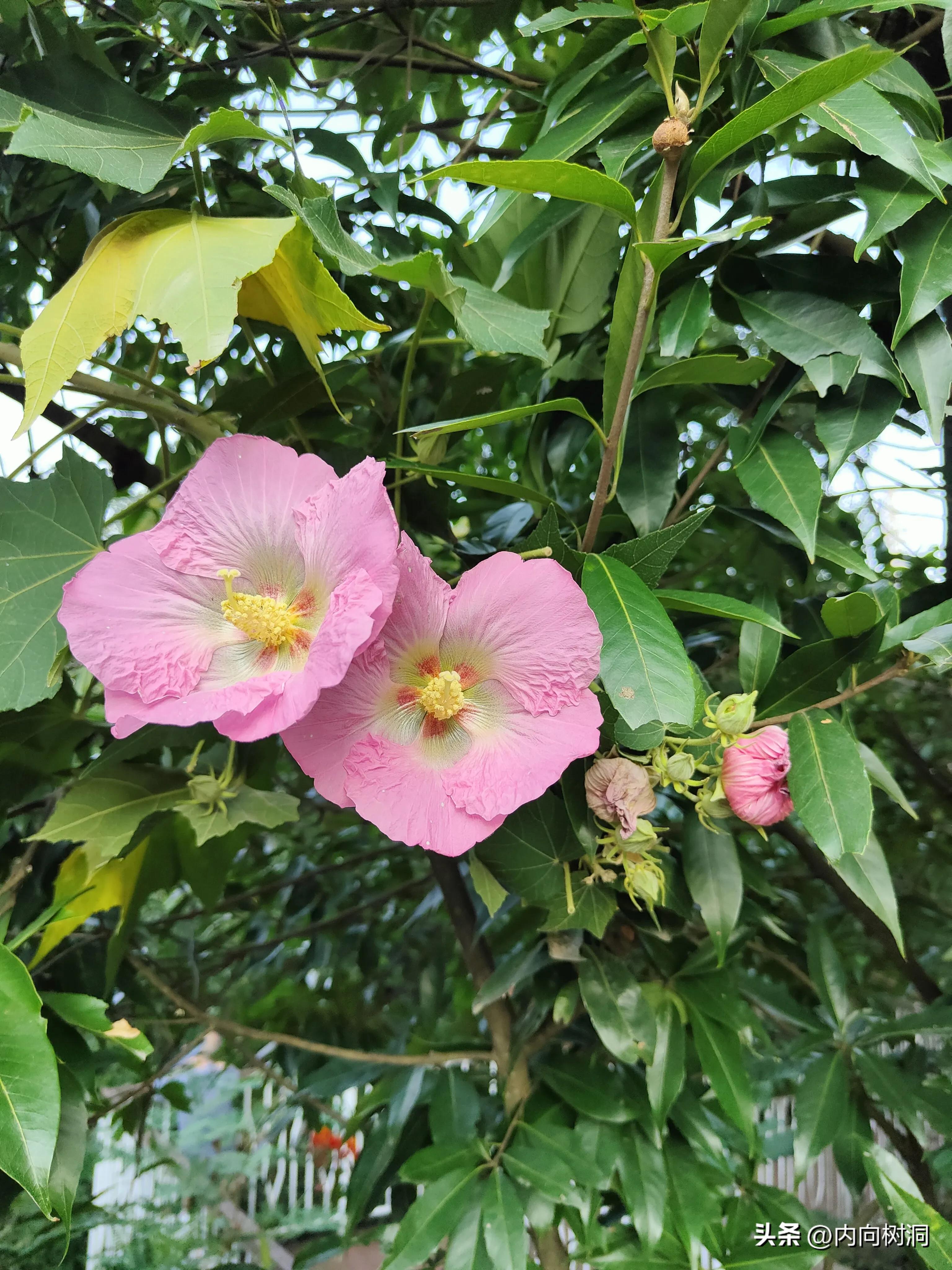 淘金山求水山徒步线路,求水山淘金山绿道在哪里