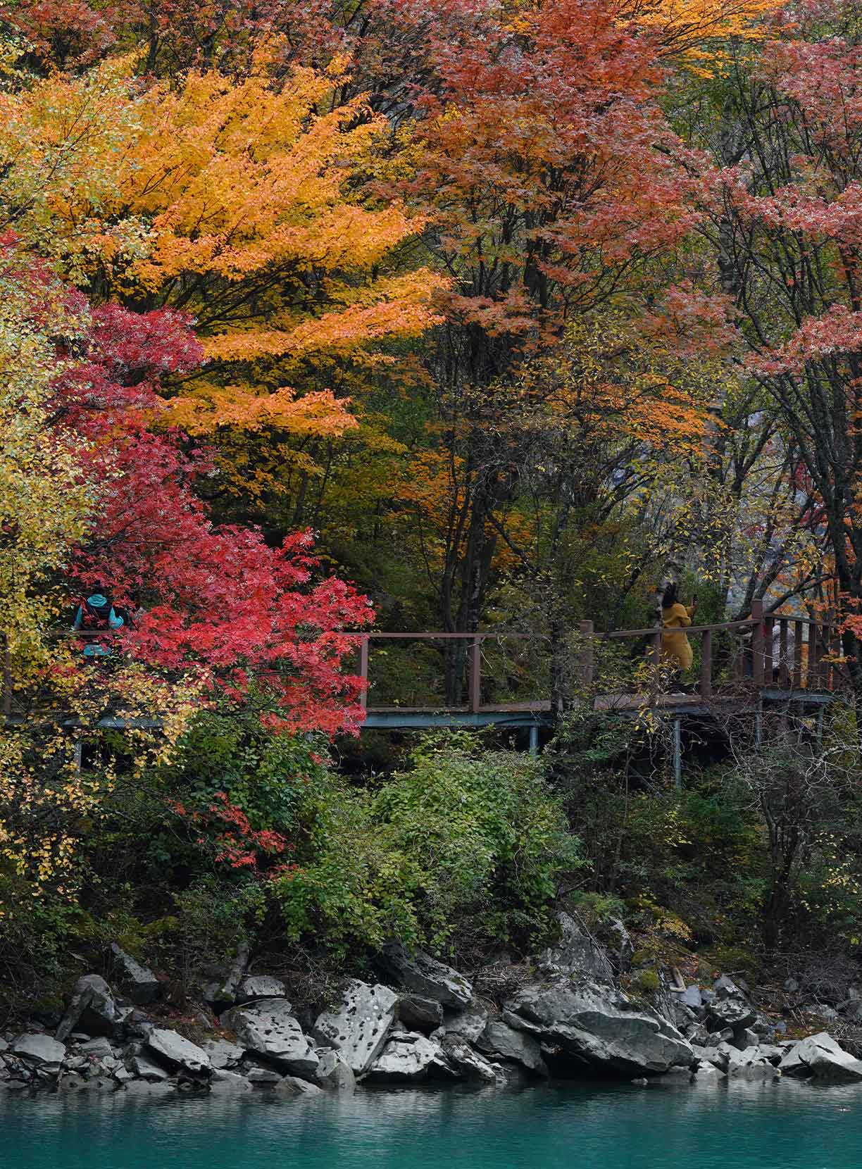 一天来回！别名“小九寨”的油画秋色、高山草甸，一站式游玩到底