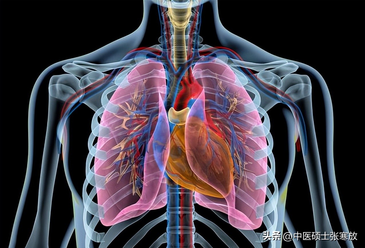 肝堵屁多肺堵痰多脾堵湿气重,肝堵屁多