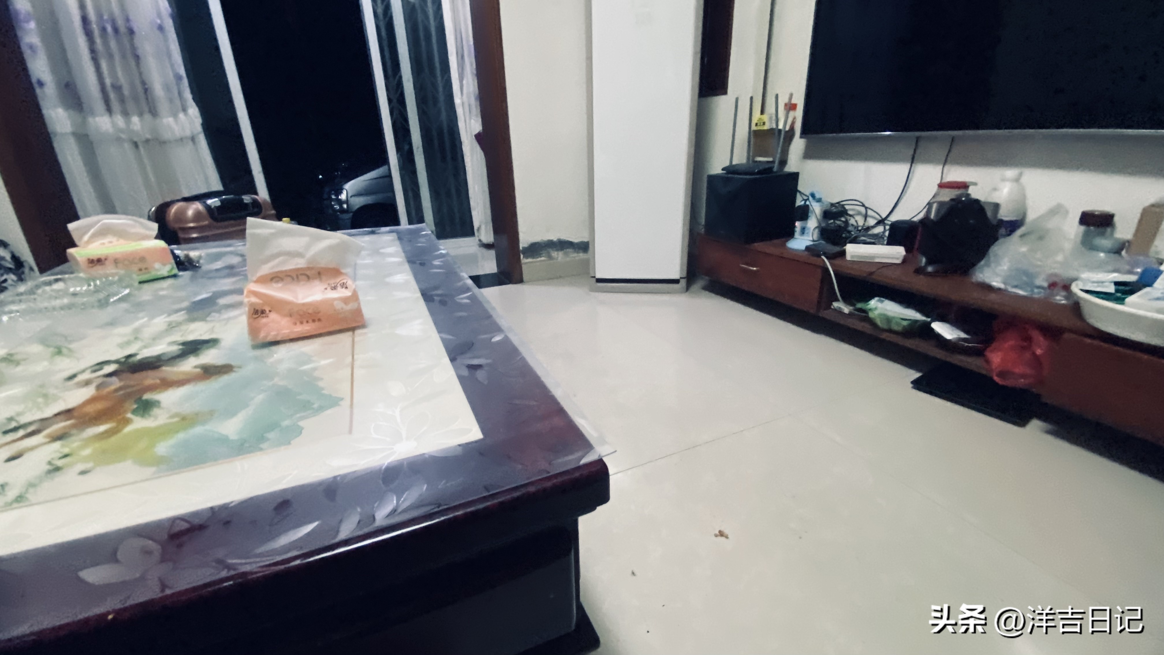 洋吉日记2023.4.28（花的意义？）