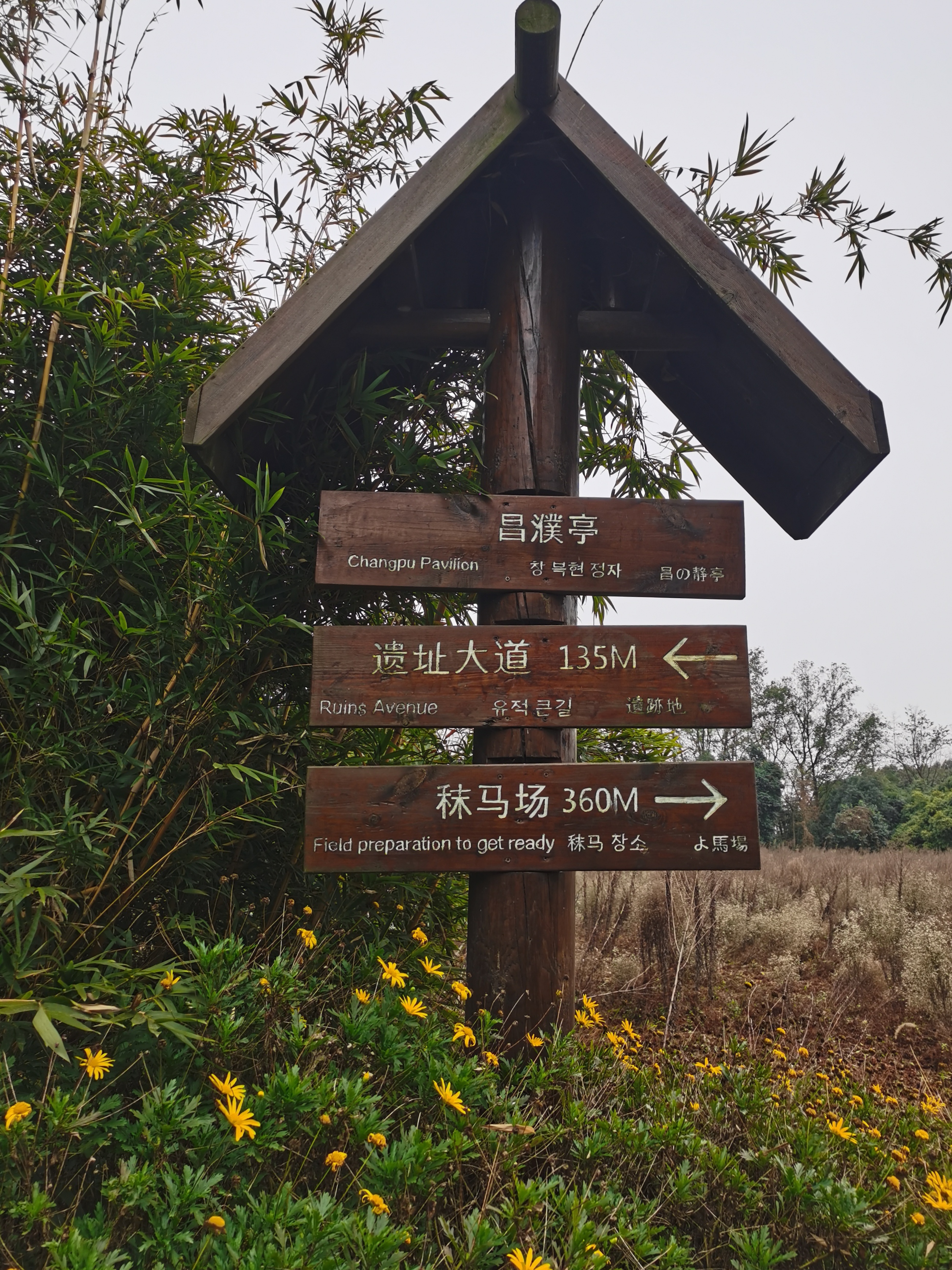 郫县古城遗址游玩攻略,成都之行圆满结束