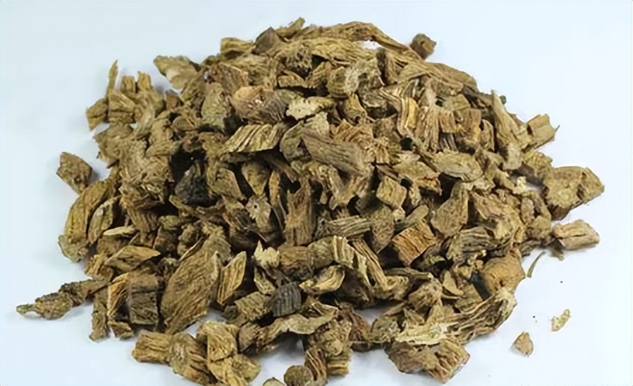 每天学一味中药百部,一味中药百部图片及功效