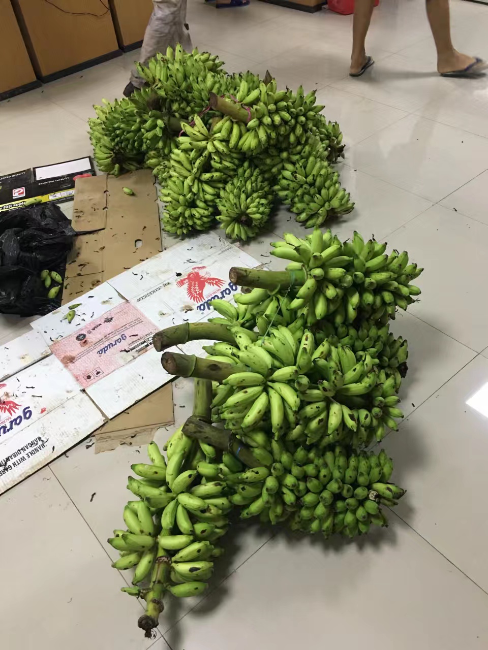 青山印尼项目,青山印尼钢铁厂