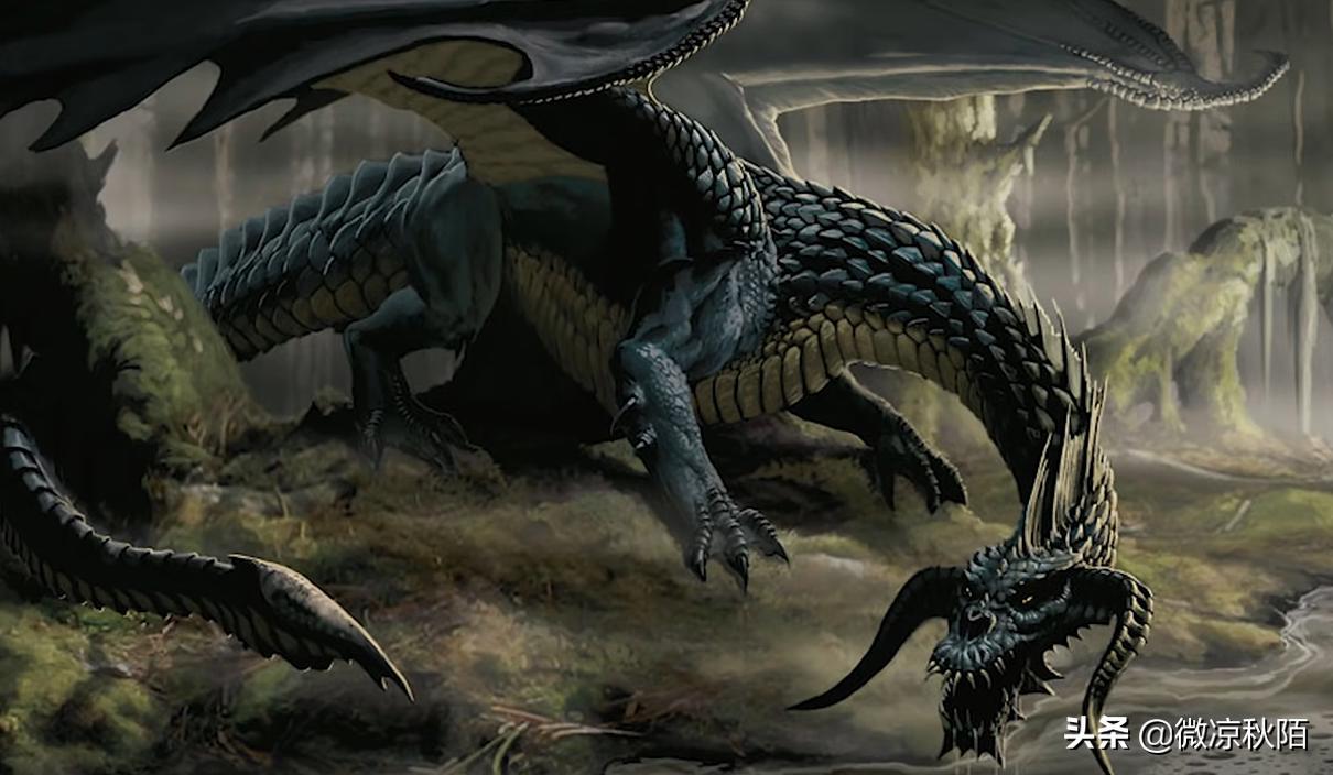 魔兽世界巨龙觉醒,魔兽世界里的艾酱是谁