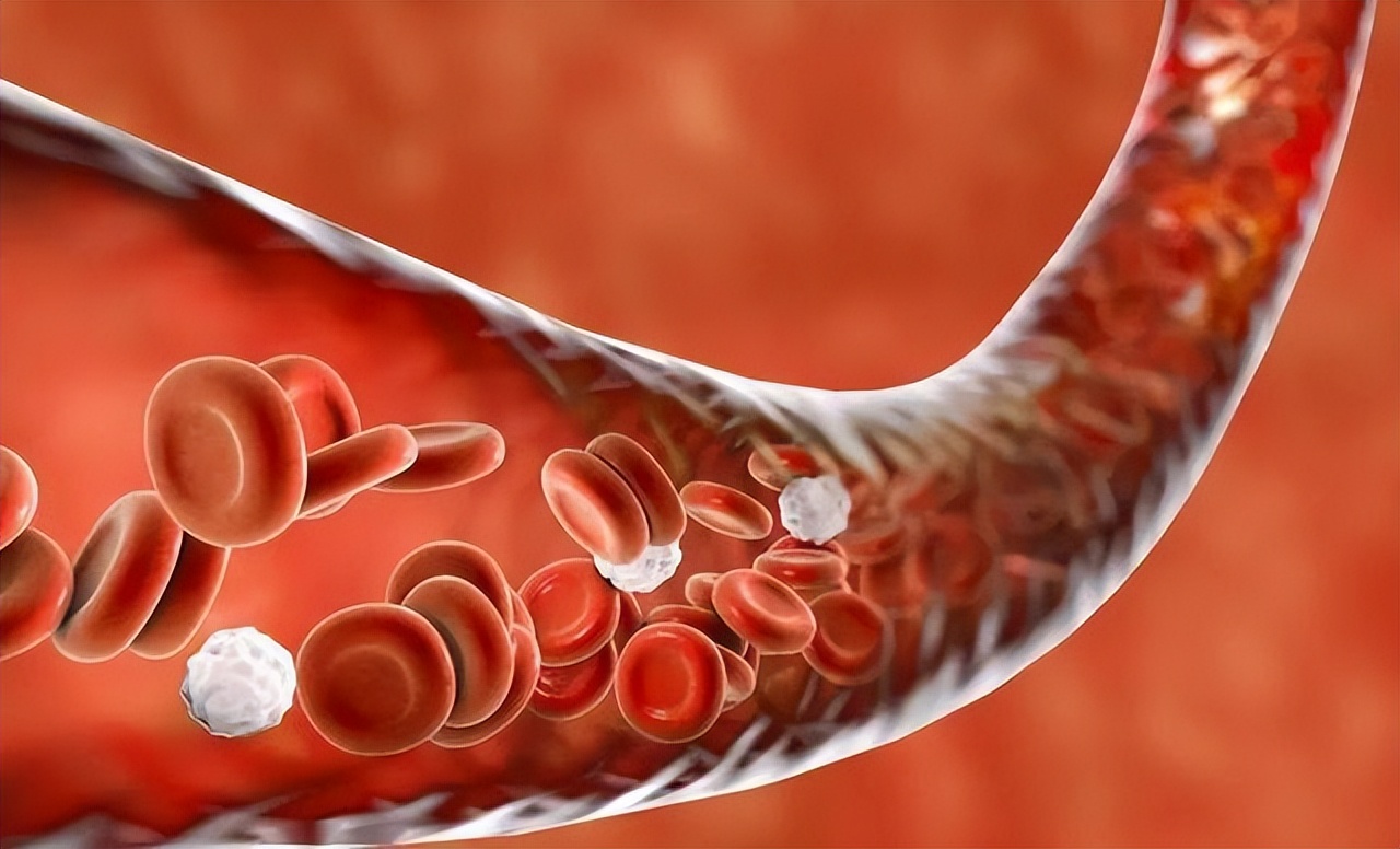 晨起空腹喝水对身体有害还是有益,早晨起来空腹喝水有哪些好处