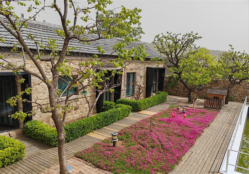 要住民宿用什么软件订好,泰国民宿攻略