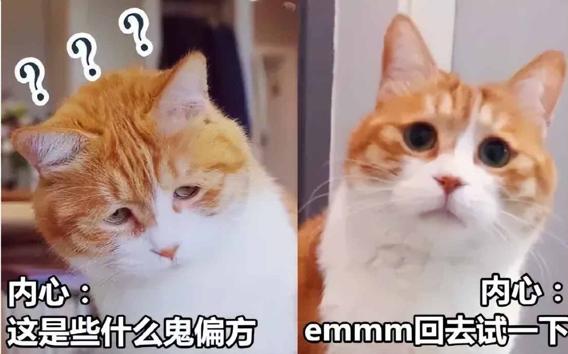太香？太臭？猫咪排泄物的入药黑历史！