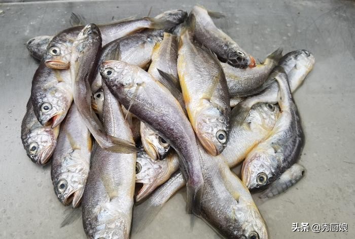 哪些食用鱼好吃又好养殖,什么鱼容易养殖又好吃又营养