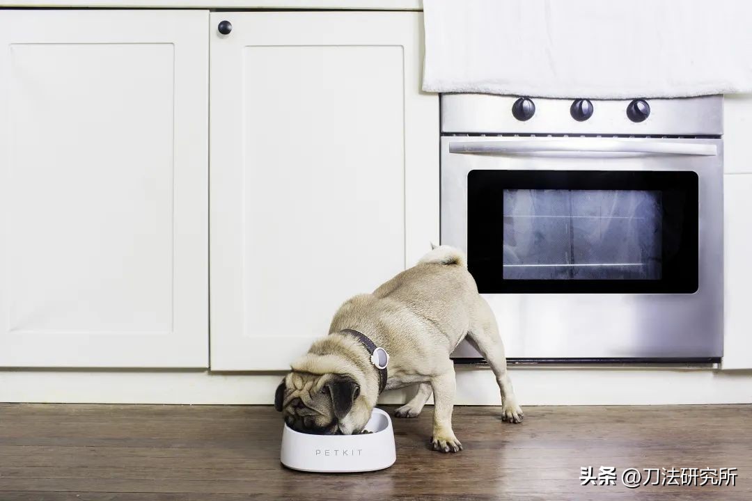 独家专访桂雨濛,独家专访2019