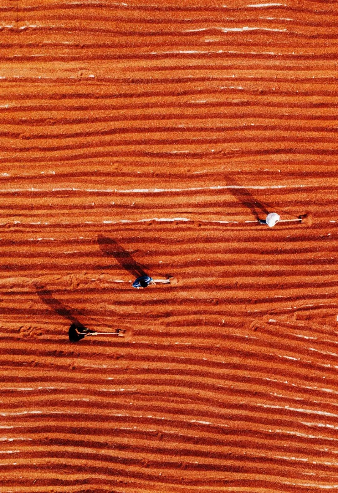 汾河主要特点和作用,汾河为什么属于黄河水系