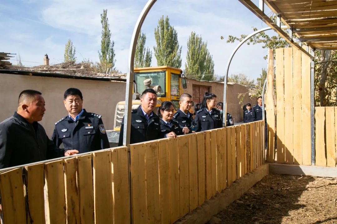走进金秋时节的乡村——敦煌市公安局组织开展“新时代山乡巨变文学与你同行”主题志愿活动