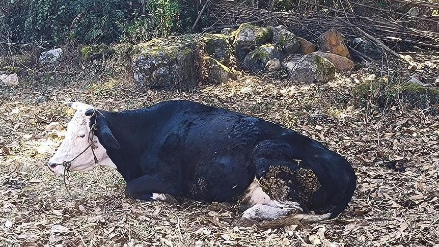 十一月云南旅游攻略腾冲 (从云南腾冲看云南旅游攻略)