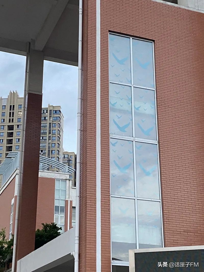 这种花花绿绿的贴纸在上海流行，警示对象不是人类？