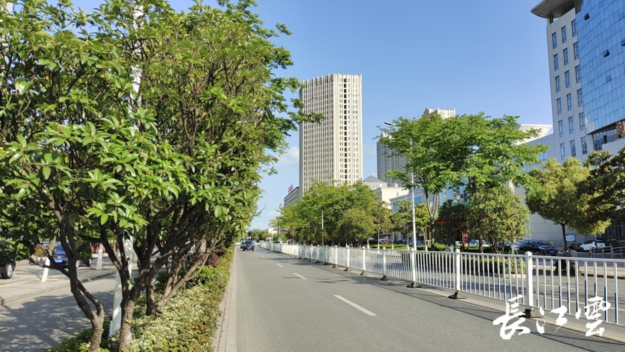 离谱！微信购买的体育彩票居然是P的