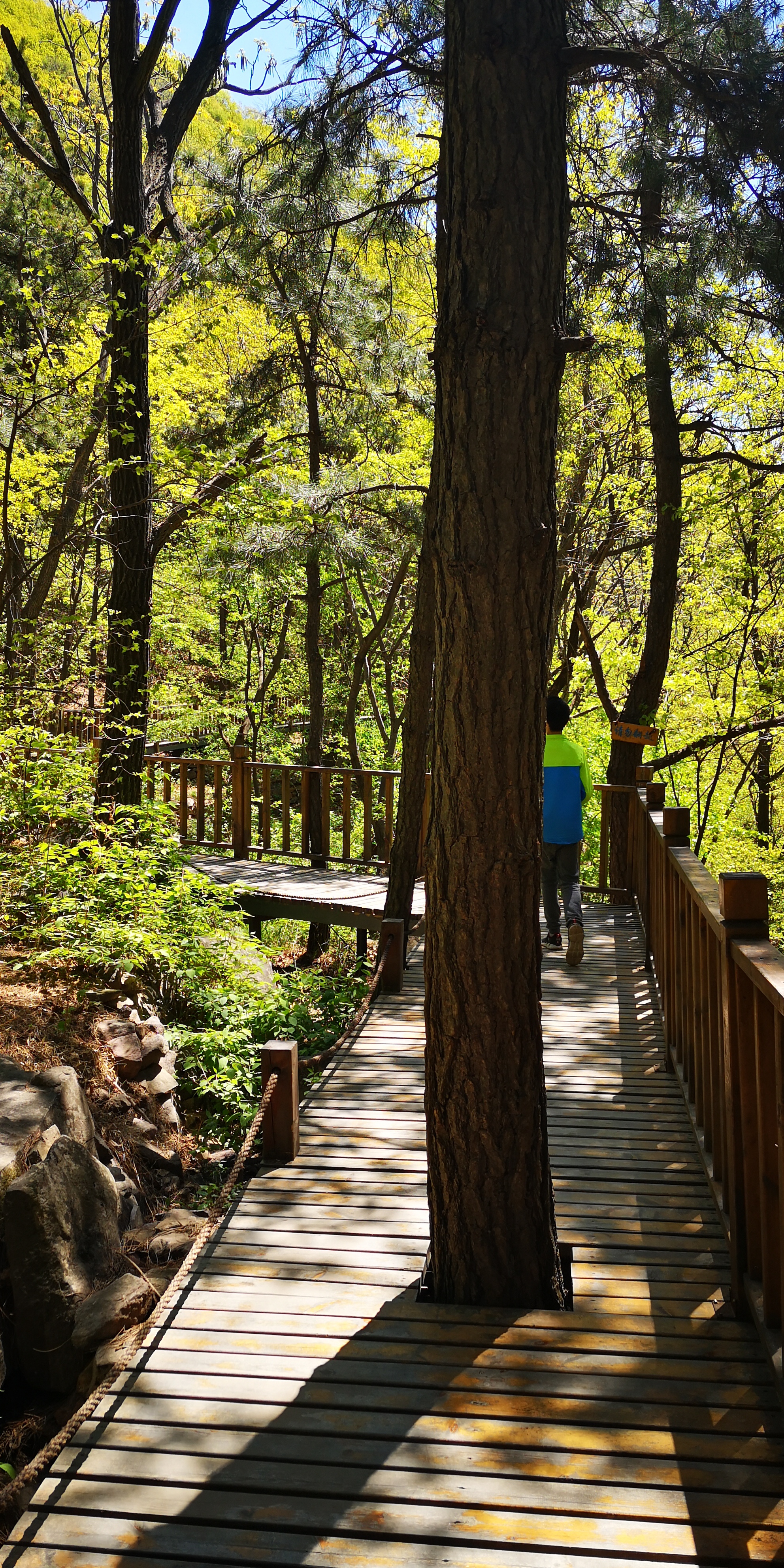 天津梨木台景区值得夏天去的地方,天津蓟县梨木台风景区路线