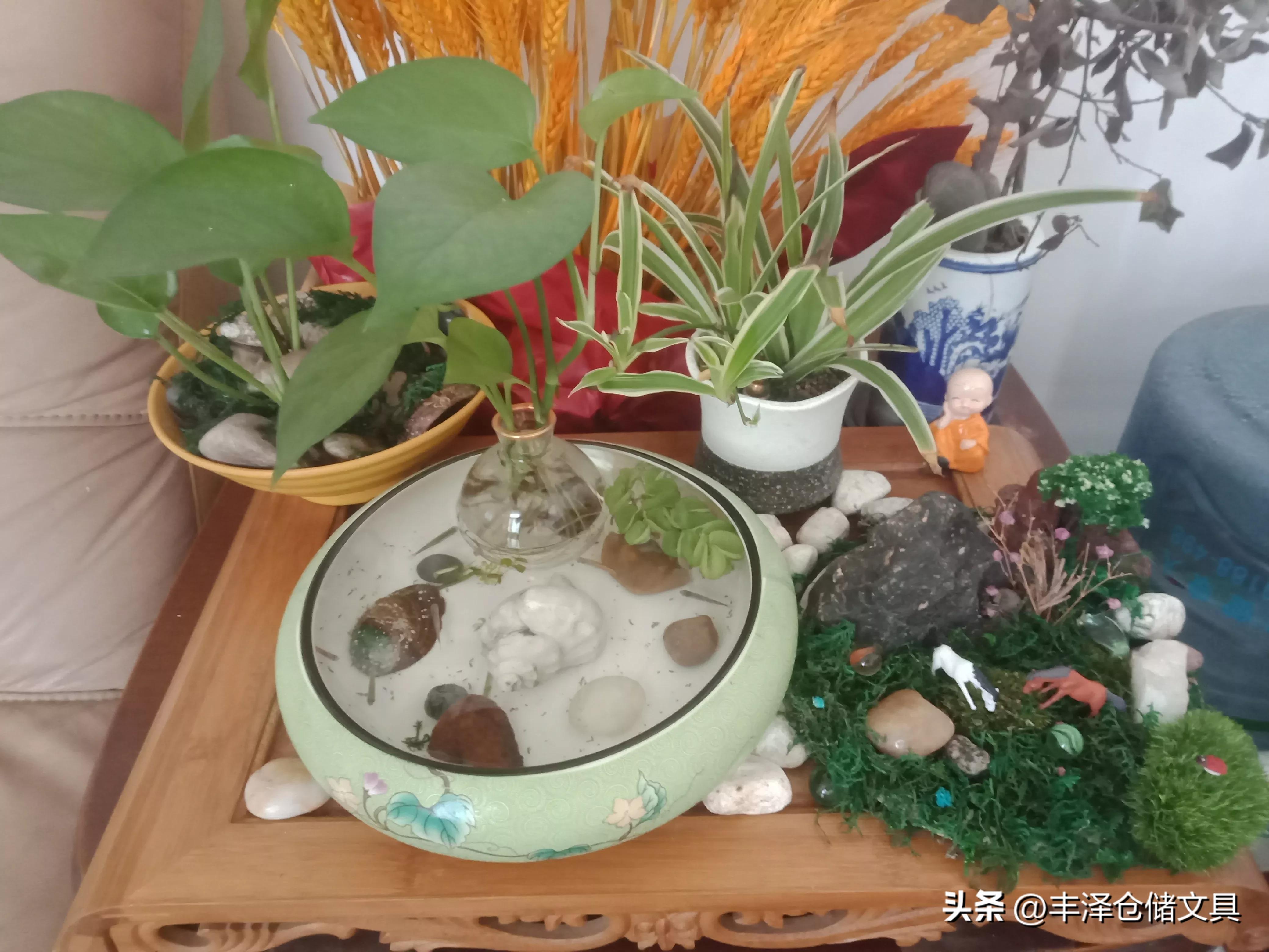 因为懂得了所以不离不弃,有一种美好叫你不离不弃