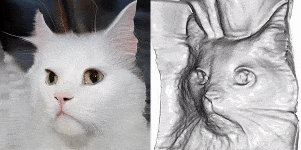 仅做两项修改，苹果就让StyleGANv2获得了3D生成能力