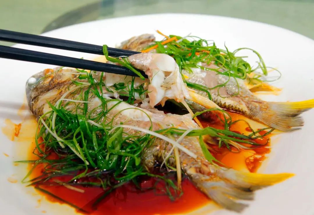 大湾区之珠海篇,2023优秀华裔大学生走进大湾区